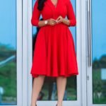 Long Sleeve Plain Ruched Casual Dress
