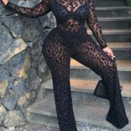 Plus Size Sheer Mesh Leopard Print Jumpsuit