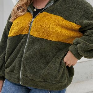 Plus Size Colorblock Zip Hooded Teddy Top