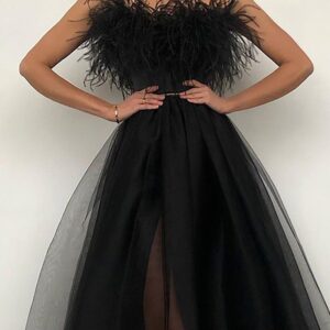 Feather Detail Off Shoulder Sheer Mesh Dress